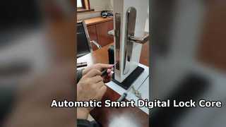 স্বয়ংক্রিয় স্মার্ট ডিজিটাল লক কোর অ্যাপ ওয়াইফাই ব্লুটুথ আনলকিং